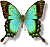 Butterflies icon graphics