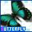 Butterflies icon graphics