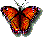 Butterflies icon graphics
