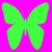 Butterflies icon graphics