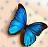 Butterflies icon graphics