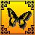 Butterflies icon graphics