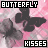 Butterflies icon graphics