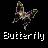 Butterflies icon graphics