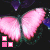 Butterflies icon graphics