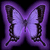 Butterflies icon graphics