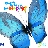 Butterflies icon graphics