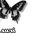 Butterflies icon graphics