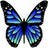 Butterflies icon graphics