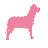 Butterflies icon graphics