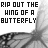 Butterflies icon graphics