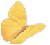 Butterflies icon graphics