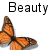 Butterflies icon graphics