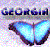 Butterflies icon graphics