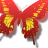 Butterflies icon graphics