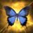 Butterflies icon graphics