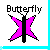 Butterflies icon graphics