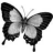 Butterflies icon graphics