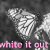 Butterflies icon graphics