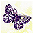 Butterflies icon graphics