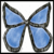 Butterflies icon graphics