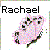 Butterflies icon graphics