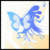 Butterflies icon graphics