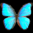 Butterflies icon graphics
