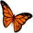 Butterflies icon graphics