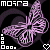 Butterflies icon graphics