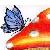 Butterflies icon graphics