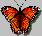 Butterflies icon graphics