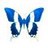 Butterflies icon graphics