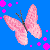 Butterflies icon graphics