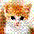 Cats icon graphics