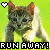 Cats icon graphics