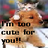 Cats icon graphics