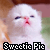 Cats icon graphics