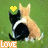 Cats icon graphics