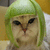 Cats icon graphics