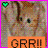Cats icon graphics