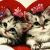 Cats icon graphics