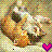 Cats icon graphics