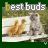 Cats icon graphics