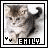 Cats icon graphics