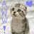 Cats icon graphics