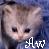 Cats icon graphics