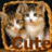 Cats icon graphics