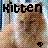Cats icon graphics