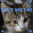 Cats icon graphics